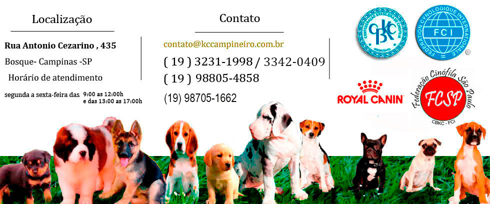 Kennel Club Campineiro